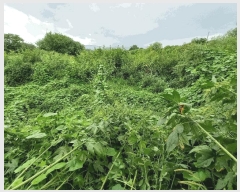  2025Ÿ��72619 ��� ��õ�� ���߸� �繮�� 325      ����(��1)���