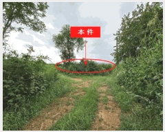  2025Ÿ��72619 ��� ��õ�� ���߸� �繮�� 325      ����(��1)���