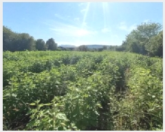  2025Ÿ��72619 ��� ��õ�� ���߸� �繮�� 325      ����(��1)���