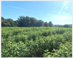  2025Ÿ��72619 ��� ��õ�� ���߸� �繮�� 325      ����(��1)���