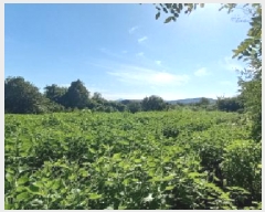  2025Ÿ��72619 ��� ��õ�� ���߸� �繮�� 325      ����(��1)���