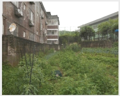  2025Ÿ72701  õ źϸ  118-3      (1)