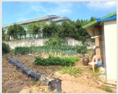  2025Ÿ72701  õ źϸ  118-3      (1)