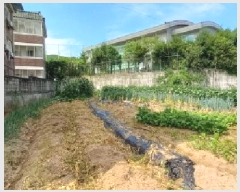  2025Ÿ72701  õ źϸ  118-3      (1)