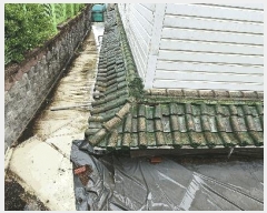  2025Ÿ72720  ֽ  263       ܵ,ð