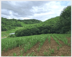  2025Ÿ��72751 ��� ��õ�� �̻�� ���̸� 491      ����(��1)���