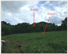  2025Ÿ��72751 ��� ��õ�� �̻�� ���̸� 491      ����(��1)���