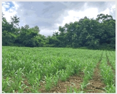  2025Ÿ��72751 ��� ��õ�� �̻�� ���̸� 491      ����(��1)���