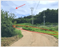  2025Ÿ��72751 ��� ��õ�� �̻�� ���̸� 491      ����(��1)���