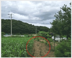  2025Ÿ��72751 ��� ��õ�� �̻�� ���̸� 491      ����(��1)���