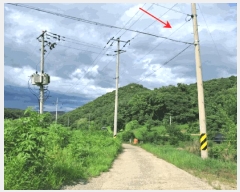  2025Ÿ��72751 ��� ��õ�� �̻�� ���̸� 491      ����(��1)���