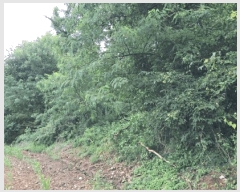  2025Ÿ��72751 ��� ��õ�� �̻�� ���̸� 491      ����(��1)���