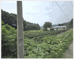  2025Ÿ72804  õ ̻ ̸ 224-2      ð