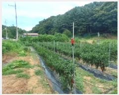  2025Ÿ72804  õ ̻ ̸ 224-2      ð