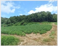  2025Ÿ72864  õ ߸ Ⱦ긮 189      (Ӿ)