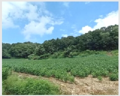  2025Ÿ72864  õ ߸ Ⱦ긮 189      (Ӿ)