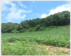  2025Ÿ72864  õ ߸ Ⱦ긮 189      (Ӿ)