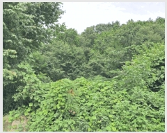  2025Ÿ��72917  �Ӿ߰��