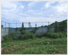  2025Ÿ��72917  �Ӿ߰��