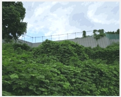  2025Ÿ��72917  �Ӿ߰��