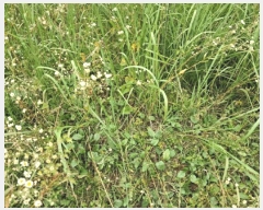  2025Ÿ��72917  �Ӿ߰��