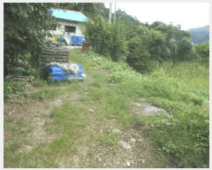  2025Ÿ72941  õ ϵ 294       ()