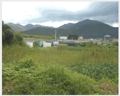  2025Ÿ72941  õ ϵ 294       ()