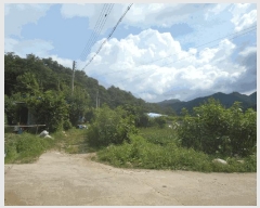  2025Ÿ72941  õ ϵ 294       ()