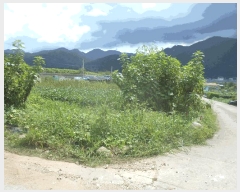  2025Ÿ72941  õ ϵ 294       ()