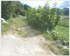  2025Ÿ72941  õ ϵ 294       ()