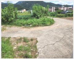  2025Ÿ72941  õ ϵ 294       ()