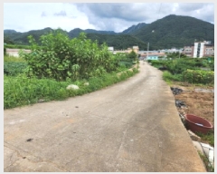  2025Ÿ72941  õ ϵ 294       ()