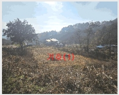  2025Ÿ��73454 ��� ��õ�� �źϸ� ��ä�� 476      ����(��1)���