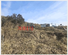  2025Ÿ��73454 ��� ��õ�� �źϸ� ��ä�� 476      ����(��1)���