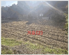  2025Ÿ��73454 ��� ��õ�� �źϸ� ��ä�� 476      ����(��1)���