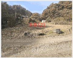  2025Ÿ��73454 ��� ��õ�� �źϸ� ��ä�� 476      ����(��1)���