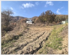  2025Ÿ��73454 ��� ��õ�� �źϸ� ��ä�� 476      ����(��1)���