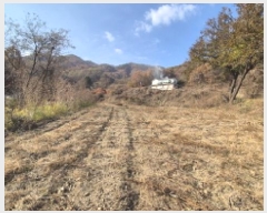  2025Ÿ��73454 ��� ��õ�� �źϸ� ��ä�� 476      ����(��1)���