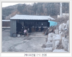  2025Ÿ��73480 ��� ��õ�� ������ ���θ� 155-14      ���ð��