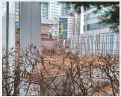  2025Ÿ��73748  �����