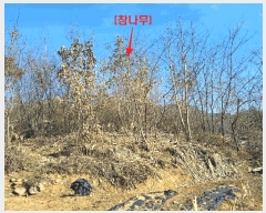  2025Ÿ��73783 ��� ���ֽ� �鼮�� �漺�� 112-88      ����(�Ӿ�)���