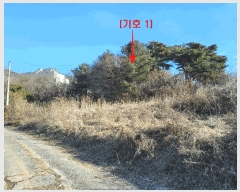  2025Ÿ��73783 ��� ���ֽ� �鼮�� �漺�� 112-88      ����(�Ӿ�)���