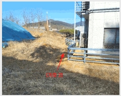  2025Ÿ��73783 ��� ���ֽ� �鼮�� �漺�� 112-88      ����(�Ӿ�)���