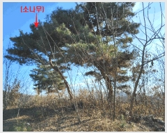  2025Ÿ��73783 ��� ���ֽ� �鼮�� �漺�� 112-88      ����(�Ӿ�)���