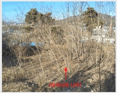  2025Ÿ��73783 ��� ���ֽ� �鼮�� �漺�� 112-88      ����(�Ӿ�)���