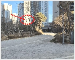  2025Ÿ��73904 ��� �����ν� ������ 567 ž����Ʈ������ 1109�� 21�� 2103ȣ   ����Ʈ���