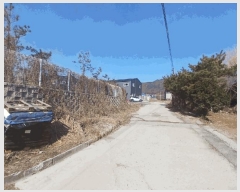  2025Ÿ��801 ��� ��õ�� ��� 593-1       ����,â�����