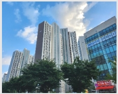  2025Ÿ��2579  ����Ʈ���