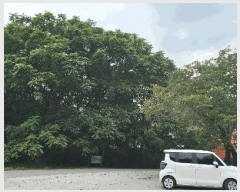  2025Ÿ��3459 ��� ����õ�� ����õ�� 32-15       ����(�Ӿ�)���