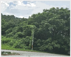  2025Ÿ��3459 ��� ����õ�� ����õ�� 32-15       ����(�Ӿ�)���